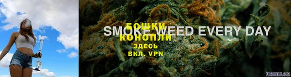 сатива Михайловск