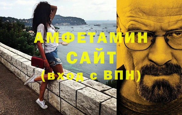 сатива Михайловск