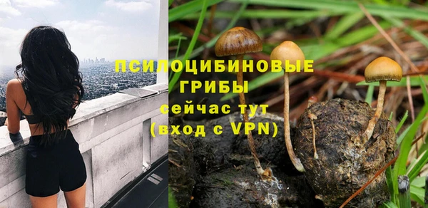 хмурый Михайлов
