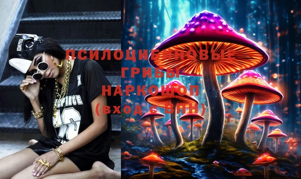 марки lsd Медногорск