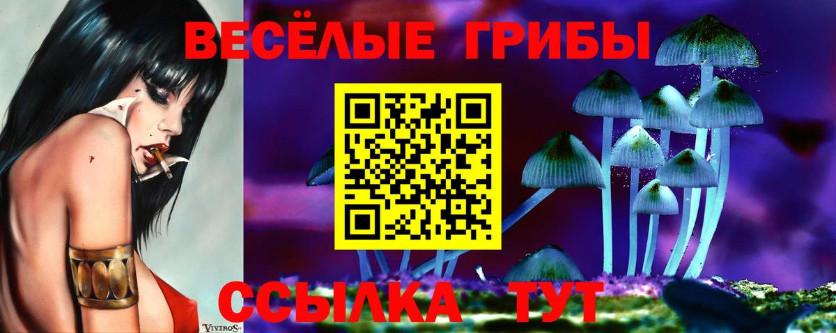 Псилоцибиновые грибы MAGIC MUSHROOMS Михайловск