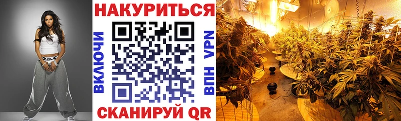Каннабис ГИДРОПОН  где найти   блэк спрут сайт  Михайловск 