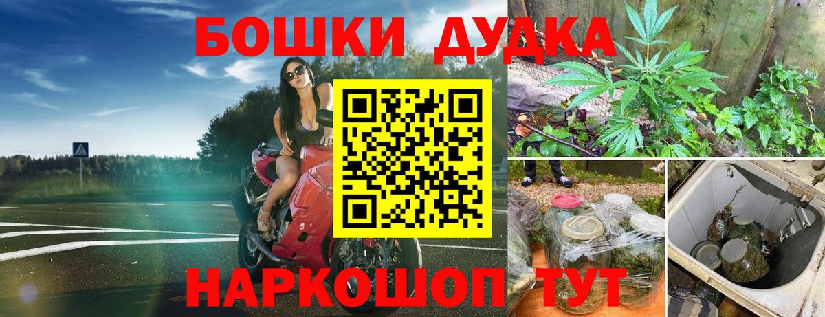 Конопля планчик Михайловск